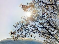 -国家大剧院西餐厅