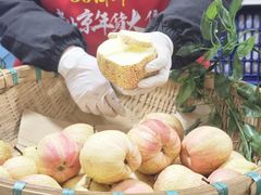 -中国农业博物馆