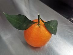 -印象吕梁•吕梁菜