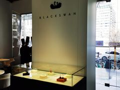 -BLACKSWAN黑天鹅(环球店)