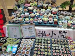 -瑞虹新天地月亮湾