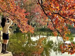 -西山人家·传统苏帮菜·家宴(木渎店)