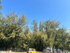 -精酿农场Brew Farm·沙漠绿洲餐厅