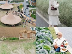 -中国天府农业博览园