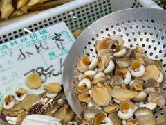 酱爆小比齐-旺角小渔村(二马路店)