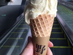 -野人先生现做冰淇淋(北京顺义祥云小镇店)