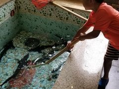 -荣德灶台鱼(圣泉寺店)