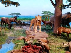 -国家自然博物馆