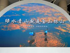 -盐城丹顶鹤湿地生态旅游区