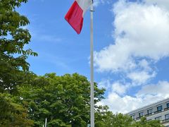 -埃菲尔铁塔