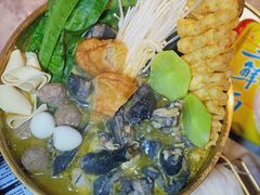 -Darling Queen·Mini·Live·House