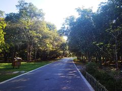 -中国科学院西双版纳热带植物园
