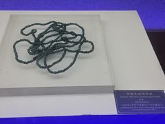 -合浦汉代文化博物馆