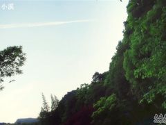 -九溪烟树