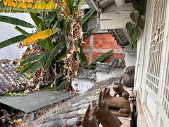 -正宗杨记普洱酸醋米线(总店)