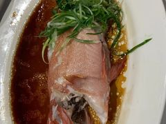 清蒸斑-港澳德兴火锅海鲜酒家(殷皇子店)