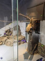 -未来动物城动物主题公园(大悦城店)
