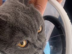 -瑞派福兴宠物医院犬猫全科·骨科·中西医结合(河东店)