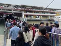 -武汉关码头(轮渡站)