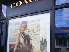 -COACH蔻驰(百联奥特莱斯广场店)