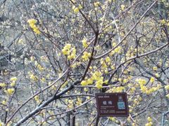 -香山公园-东宫门售票处
