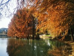 -梁鸿国家湿地公园