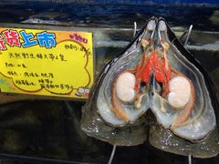 -蚝专家(北滘店)