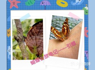 天气越来越好，好想再带孩子去梅海岭蝴蝶谷打卡