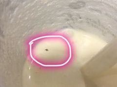 -85度C(东莞常平新南街店)