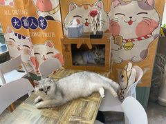 -小时光咖啡馆(北锣鼓巷店)