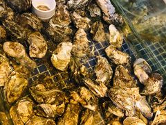 -庆余生平价生猛海鲜(海棠湾林旺夜市店)