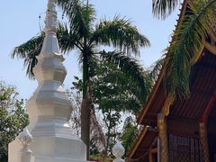 -西双版纳傣族园