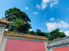 -北陵公园