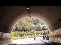 -天花井景区