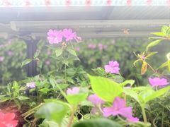 -恩格贝生态旅游区