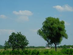 -嘉北郊野公园