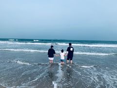 -汕尾风车岛