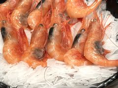 北极甜虾-不翻台·无国界铁板烧(北国先天下店)