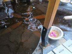 -碧水湾温泉