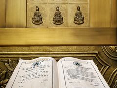 -上海东林寺(金山区)