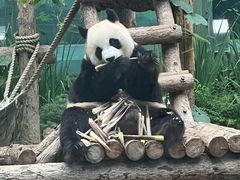 -大连森林动物园