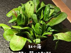-三出山火锅(南京万象天地店)
