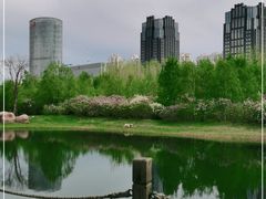 -群力丁香公园