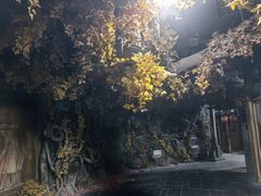 -屋有岛沉浸游戏旗舰店(中山公园店)