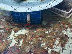 -大锅强·蒸海鲜青岛菜(吾悦广场店)