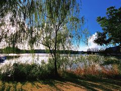 -上海长兴岛郊野公园