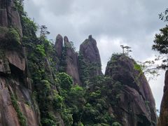 -三清山风景名胜区