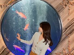 -莉莉海堂HAITANG·烤鸭(国贸商城店)