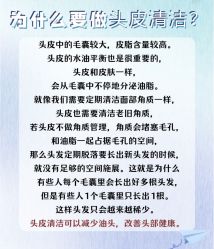 -木北造型