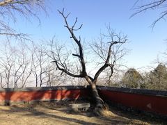 -阳台山自然风景区